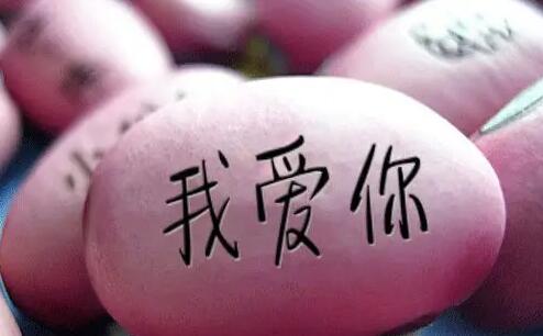 “tiamo”是什么意思